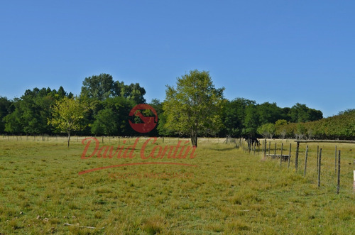 Imagen 13 de 30 de Hermoso E Ideal Campo En Venta