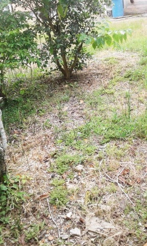 Chácara Com 6 Dormitórios À Venda, 400 M² Por R$ 480.000,00 - Forquilhas - São José/sc - Ch0063