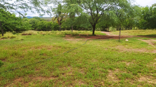 Propriedade Rural Próxima A Cidade Em Senhor Do Bonfim - Ba