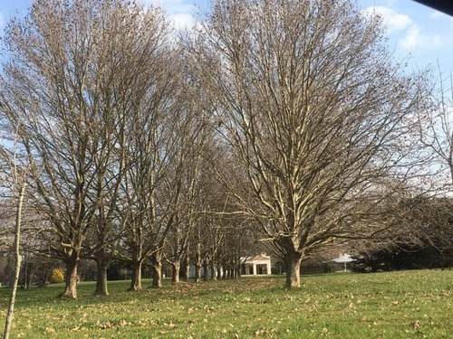 Imagen 4 de 6 de Lotes De Terreno - Venta - Haras San Pablo - Oportunidad - General Rodriguez Financia