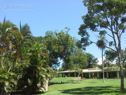 Imagem 20 de 23 de Rural Para Venda, 4 Dormitórios, Ilha Verde - Avaré - 2161