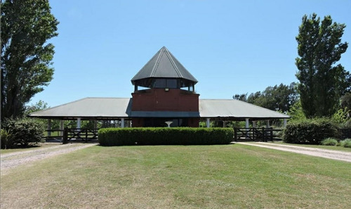 Imagen 1 de 13 de Lote En Venta En Carlos Keen