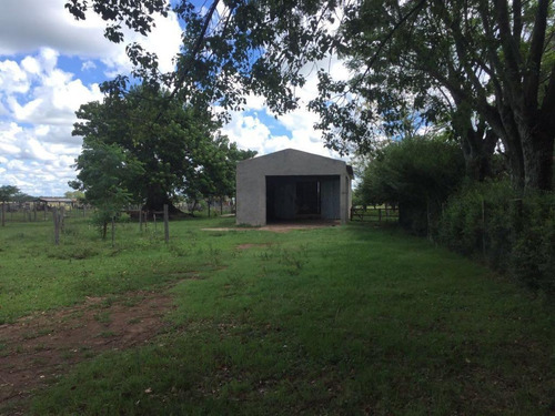 Imagen 4 de 6 de Campo - Otras