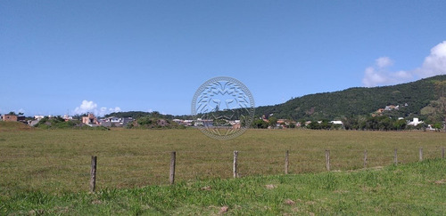 Imagem 10 de 15 de Terreno - Ribeirao Da Ilha - Ref: 2213 - V-2250