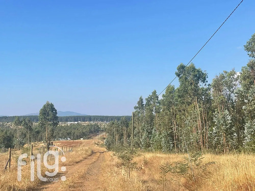 Venta De Terreno En San Nicolás Naturaleza Y Tranquilidad