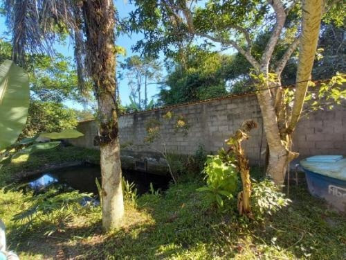 Imagem 6 de 14 de Chácara Possuindo Lago No Sitio Velho A 700 Metros Da Pista