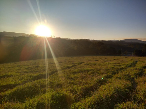 Imagem 20 de 30 de C03- Tenho O Terreno Ideal Para Você