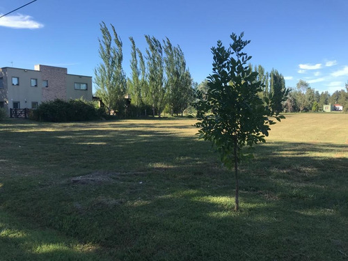 Imagen 12 de 13 de Terreno - Coronel Brandsen