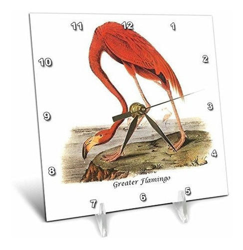 3drose Dc ******* Greater Flamingo De John James Audubon-rel