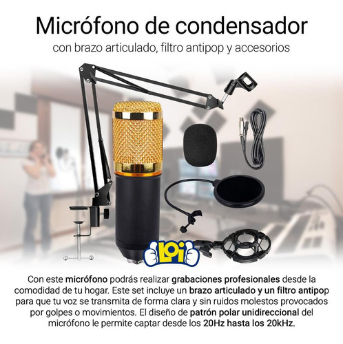 Imagen 4 de 5 de Micrófono De Condensador Brazo Articulado Filtro Antipop Loi