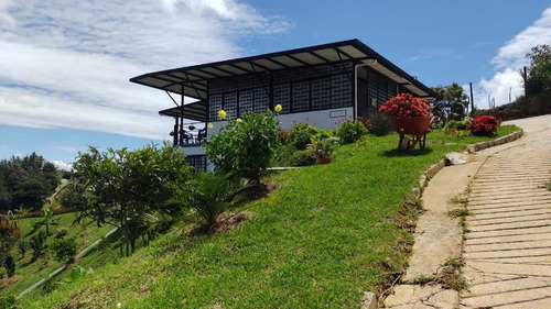 Imagen 2 de 28 de Hermosa Casa Finca En Venta En El Carmen De Viboral Con Linda Vista