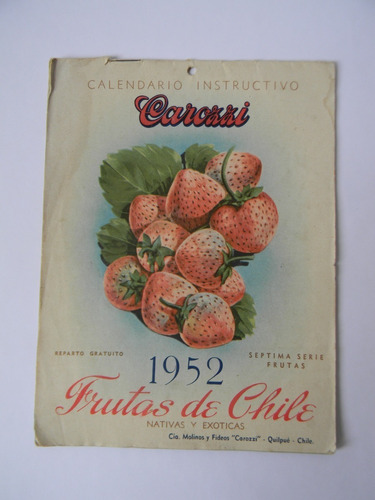 Frutas De Chile Nativas Exóticas Calendario Carozzi 1952