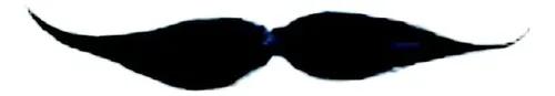 10 Bigotes Mexicanos Para Fiestas Patrias Eventos Batucadas | MercadoLibre