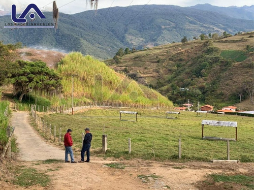 Imagen 12 de 28 de Finca Mérida