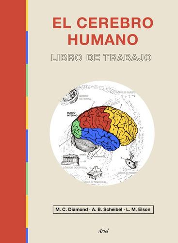 Libro El Cerebro Humano - Marian C. Diamond