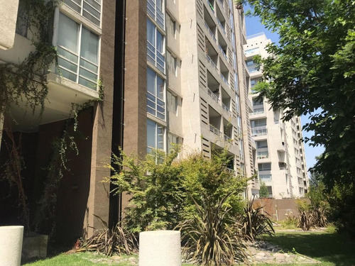 Imagen 5 de 7 de Departamento En Acogedor Sector En Macul
