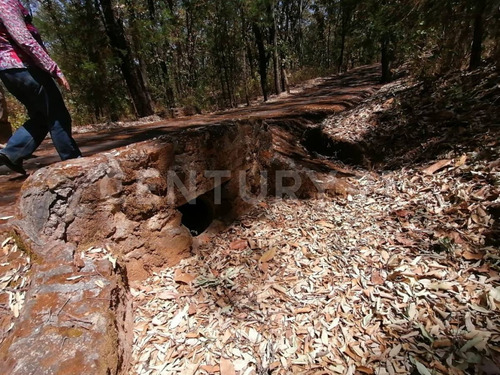 Imagen 16 de 30 de Terreno Venta En La Reserva De Los Encinos, El Arenal, Jalisco.
