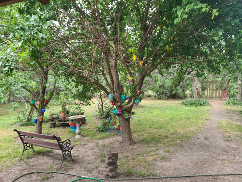 Venta De Quinta