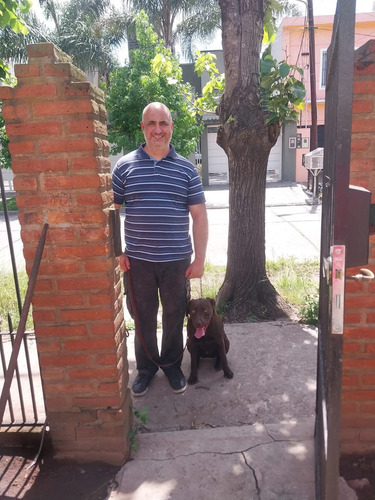Adiestrador Canino Zona Sur