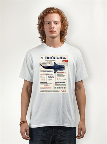 Polera Blanca Hombre Cx Regalo Tiburon Ballena Animal Arte
