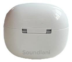 Audifono Skullcandy Rail Anc (Usado)