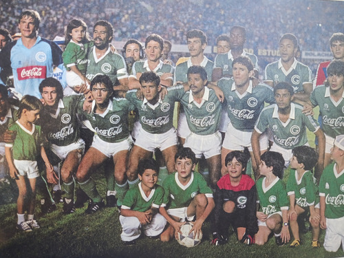Poster Do Goias Campeão Goiano De 1989 Com Tulio Maravilha (Usado)