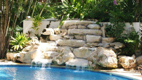 Imagen 24 de 29 de Departamento En Renta En 5ta Avenida Playa Del Carmen Palmar Del Sol P3066