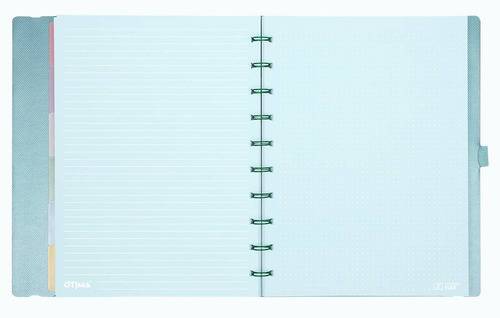 Imagem 2 de 2 de Caderno Sys Flex Coleção Metallic Verde - Plus - Ótima