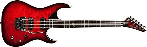 Washburn 6 Cuerdas Parallaxe Dbl Cut S.e.c. Atornillado, Die