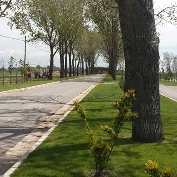 Lote A La Laguna En Barrio Privado La Alemeda 2 - Canning