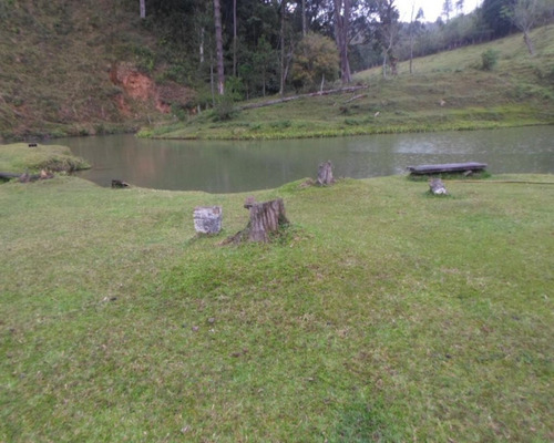 Imagem 12 de 14 de Sítio - 04127 - 33228998