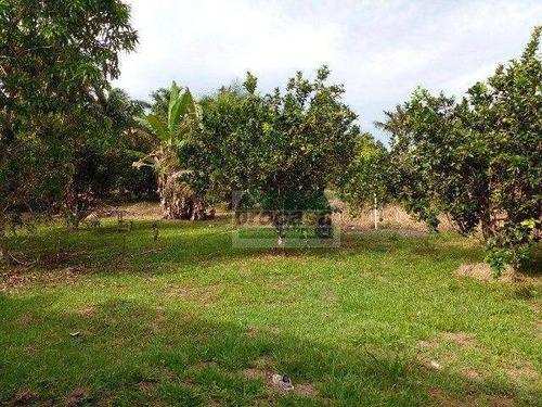 Imagem 13 de 14 de Sítio Com 3 Dormitórios À Venda, 3500 M² Por R$ 180.000 - Área Rural - Manaus/am - Si0160