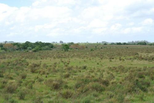Campo En Venta