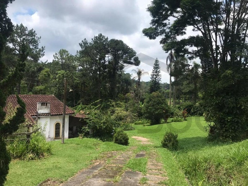 Imagem 13 de 16 de Excelente Sitio Em Itapecerica Da Serra, Área Comercial E Com Plantio De Eucalipto. - 122 - 69234465