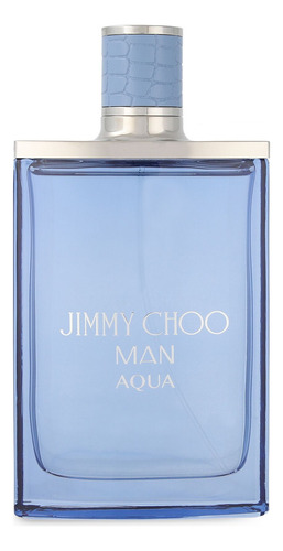 Jimmy Choo Aqua Men 100ml Edt
