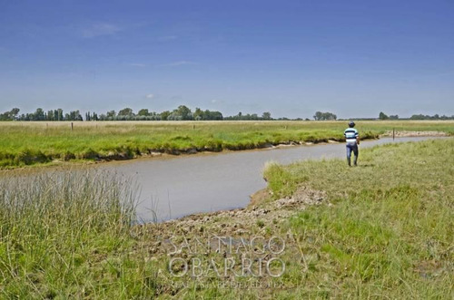 Imagen 4 de 8 de Muy Buen Campo En Venta De 53 Has En Navarro Ruta 47