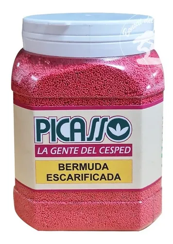 Semilla Bermuda Escarificada Cesped Pasto Picasso 1kg