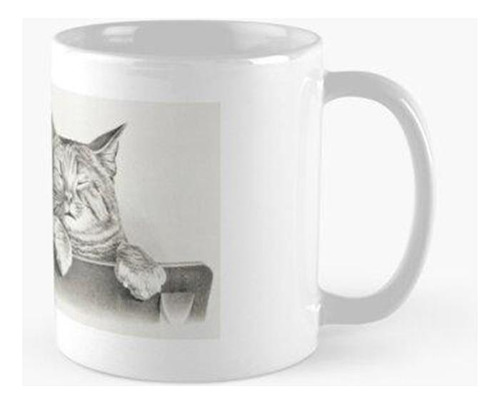 Taza Sin Hobbies, Sin Ambiciones Gatos Perezosos Speeling Ca