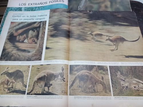 Life En Español 11/3/1957 Pearl Harbor Argelia Bolshoi (Usado)