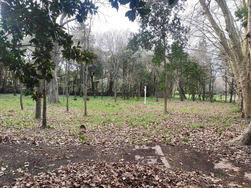 Imagen 4 de 10 de Lote Terreno Baldio En Venta Los Polvorines El Cortijo Viejo