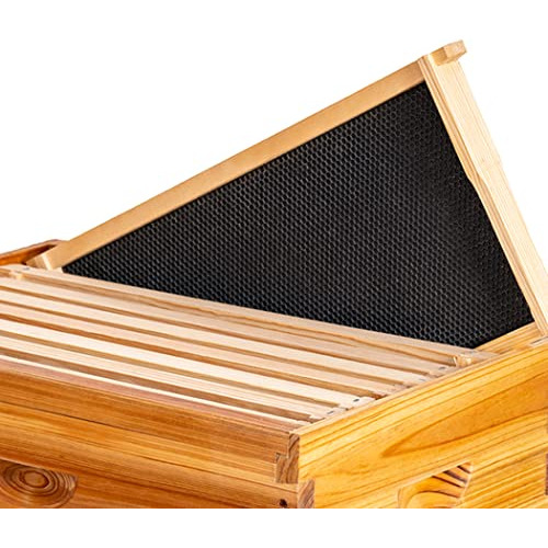 Marcos Y Fundaciones Colmenas Hivesdeep O Brood Size, P...