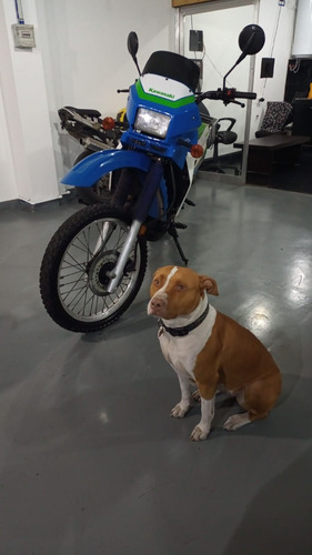 Imagen 2 de 6 de Kawasaki Klr 650