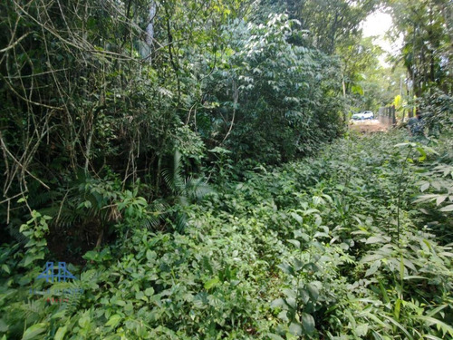Imagem 2 de 5 de Terreno À Venda, 4320 M² Por R$ 450.000,00 - Pântano Do Sul - Florianópolis/sc - Te0245