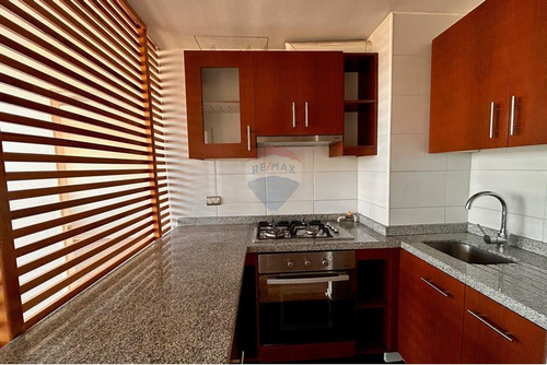 Arriendo, Departamento, Centro De Concepción