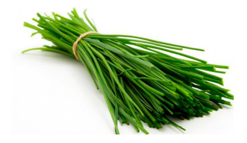 200 Semillas De Ciboulette - Huerta Premium - Aromatica