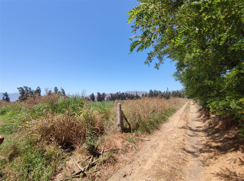 Terrenos Agrícolas Con Agua Venta María Pinto Curacavi