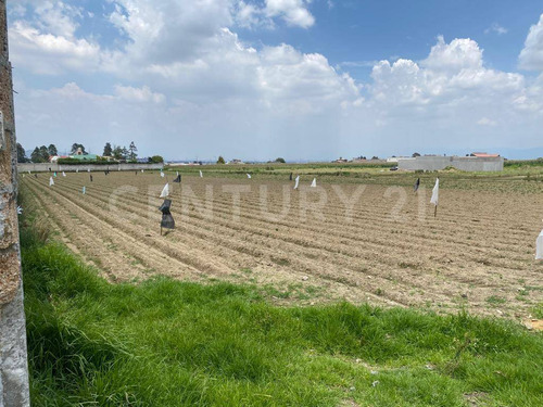 Terreno En Venta En Capultitlán, Toluca, Estado De México