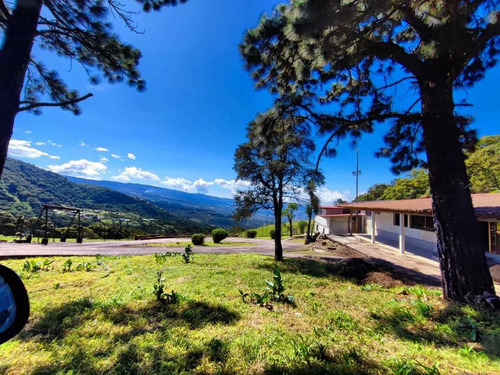 Imagen 4 de 9 de Venta Granja En Borota Ah