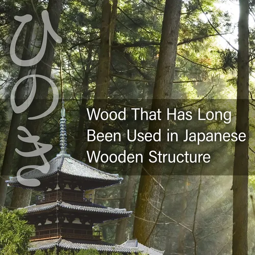 Tabla De Cortar Japonesa Hinoki, Grande, Tabla De Cortar De