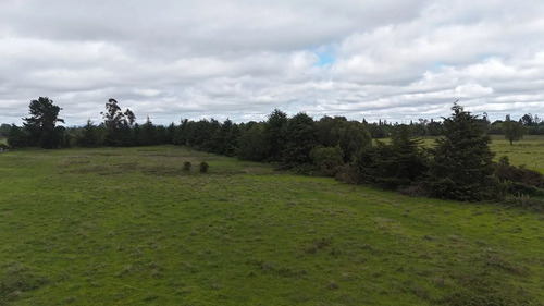 Venta Terreno 3 Hectáreas A 20km Del Centro De Temuco